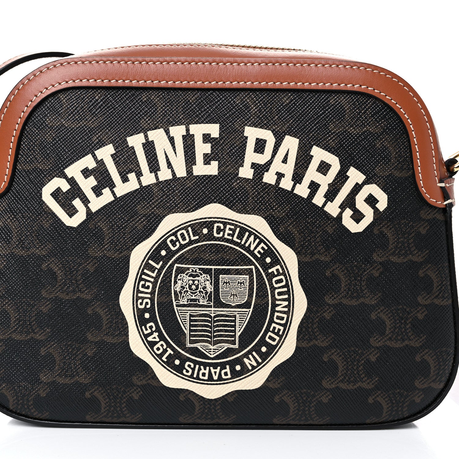 Celine Triomphe Canvas Paris Small Camera Bag Tan 3 of 10