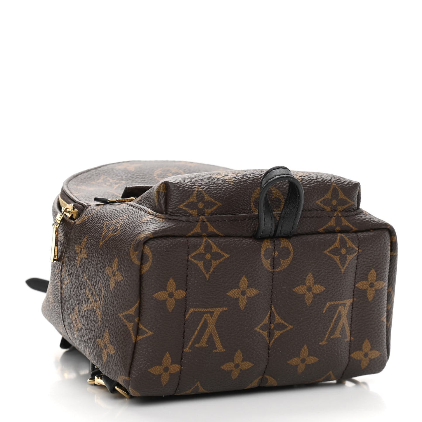 Monogram Palm Springs Backpack Mini