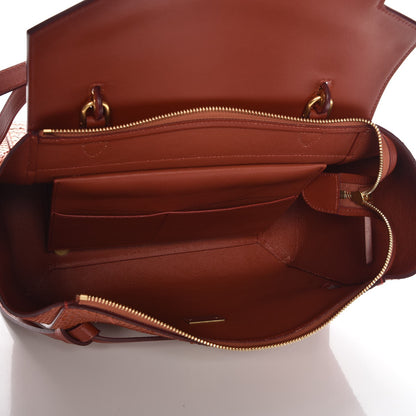 Celine Python Mini Belt Bag Red Ochre 5 of 6