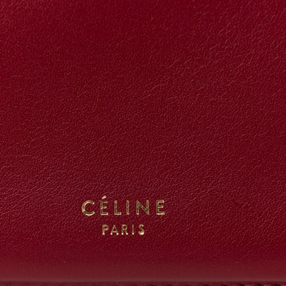 Celine Patina Box Calfskin Medium Clasp Bag Scarlet 10 of 19