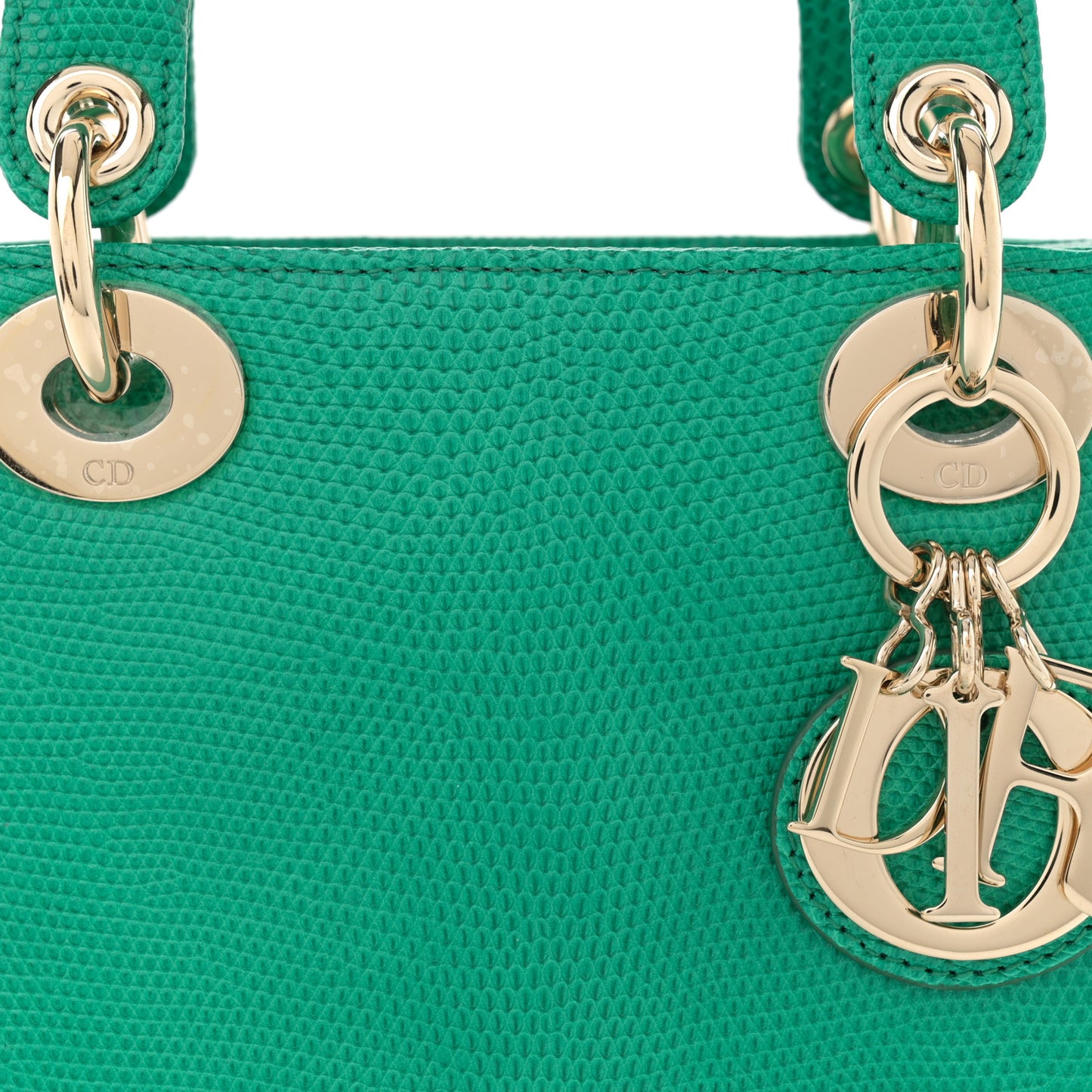 Lizard Mini Lady Dior Green