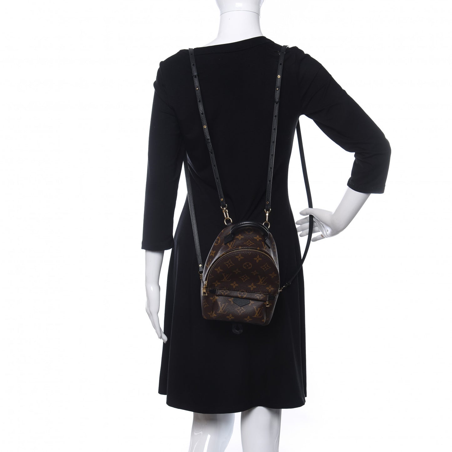 Monogram Palm Springs Backpack Mini