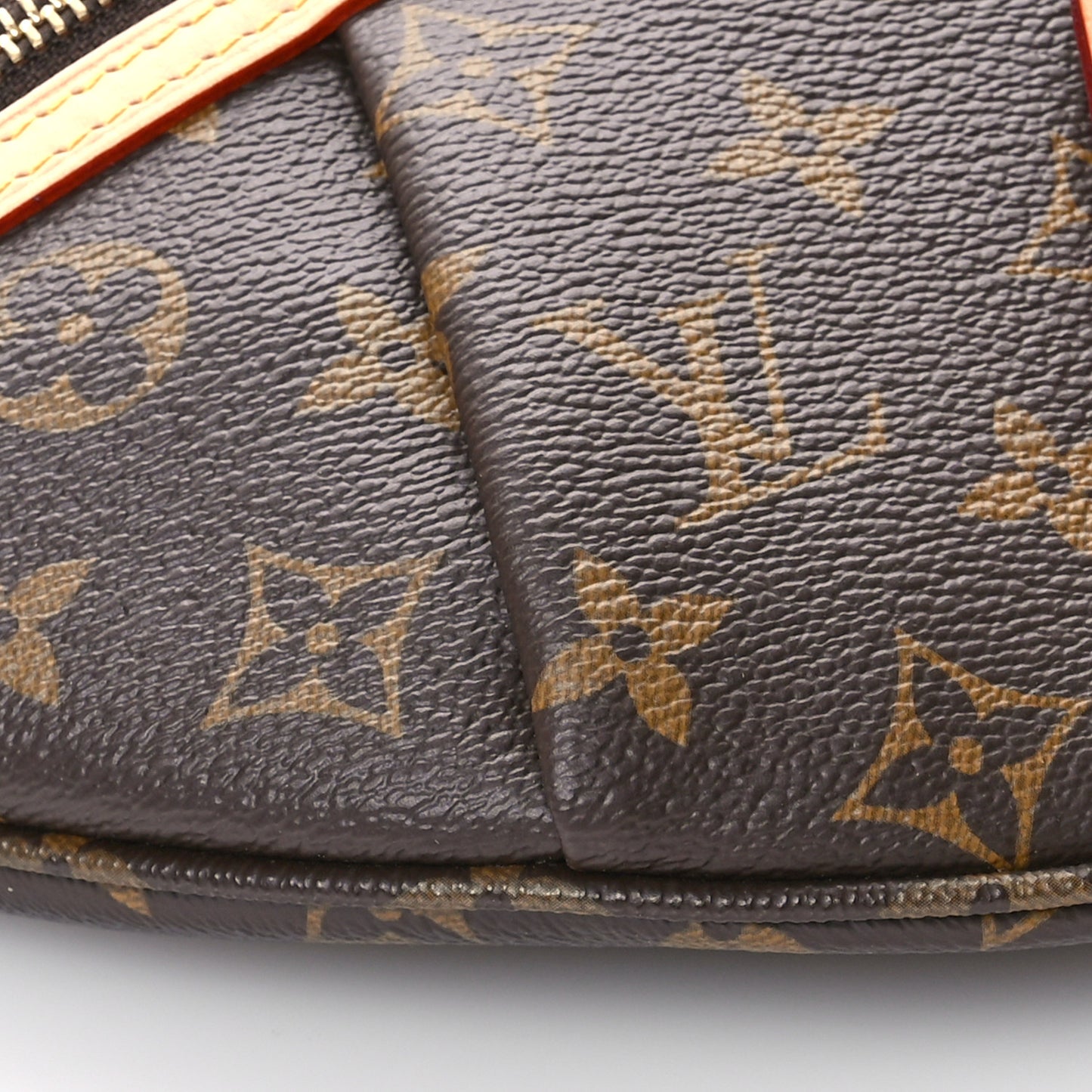 Monogram High Rise Bumbag