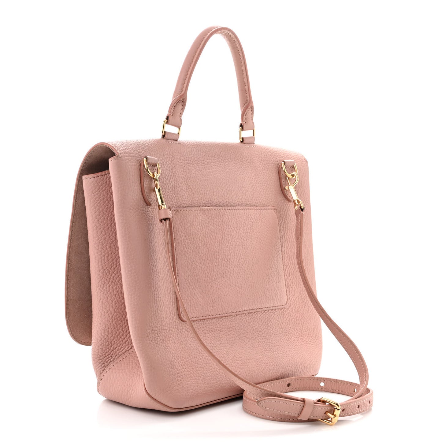 Taurillon Volta Magnolia