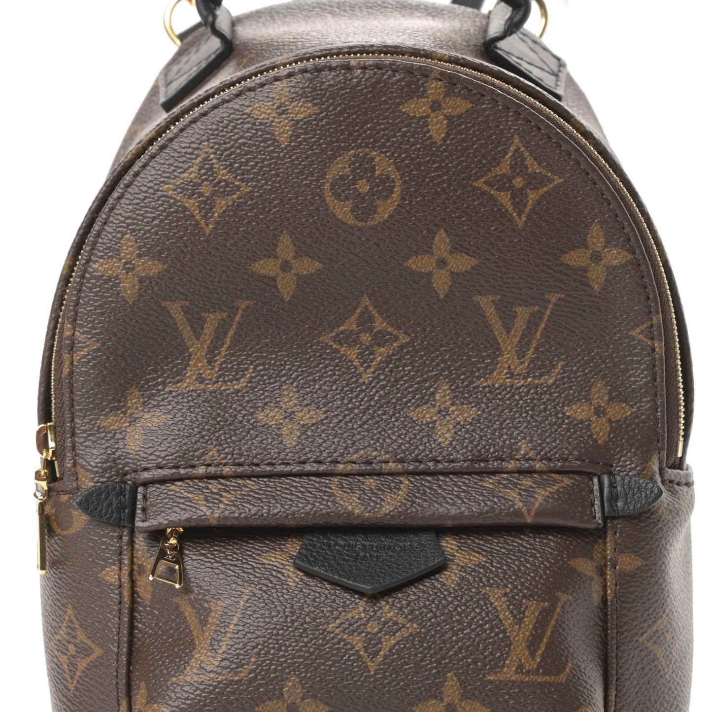 Monogram Palm Springs Backpack Mini