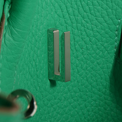 Hermes Togo Birkin 35 Menthe 20 of 24