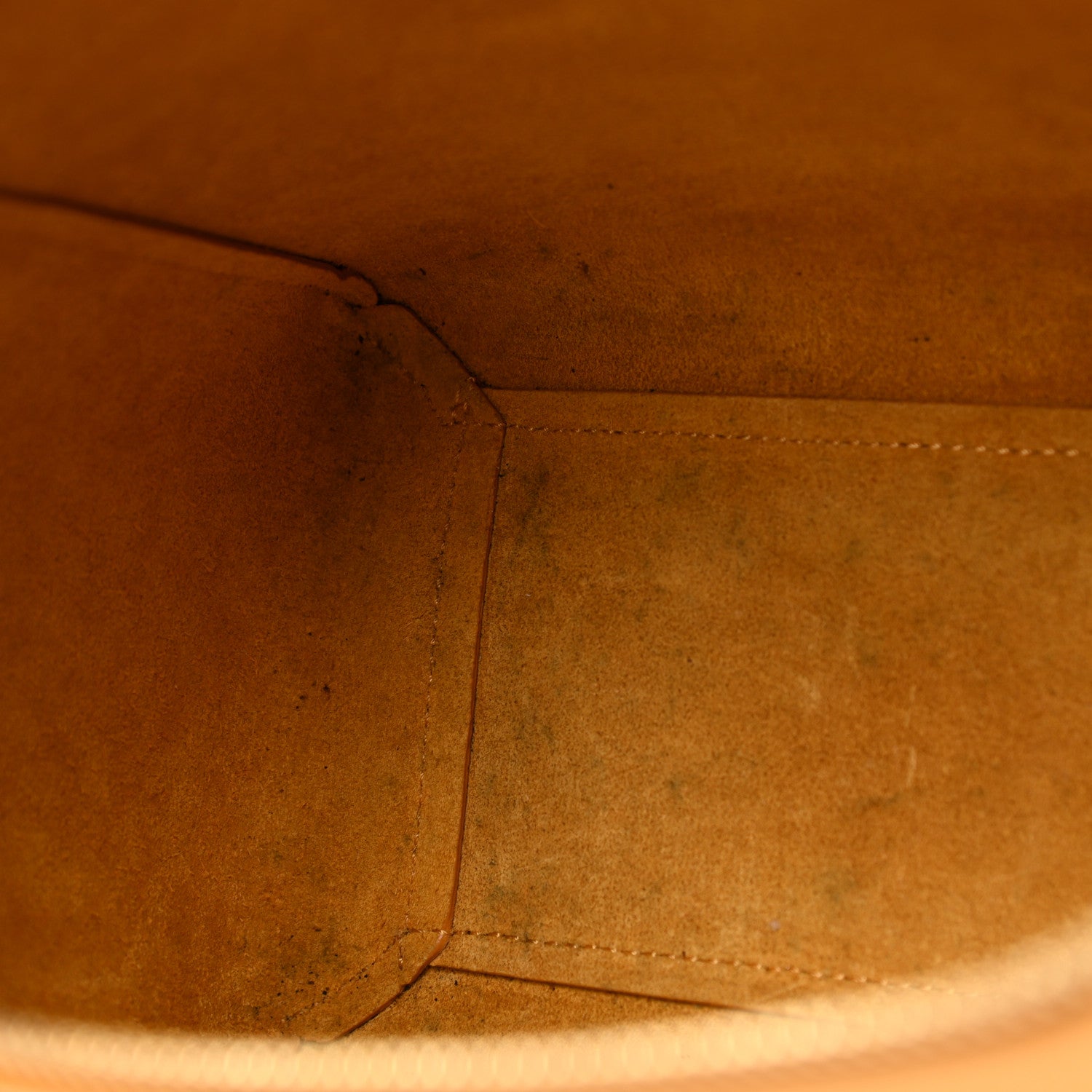 Celine Grained Calfskin Nano Belt Bag Calendula 9 of 11