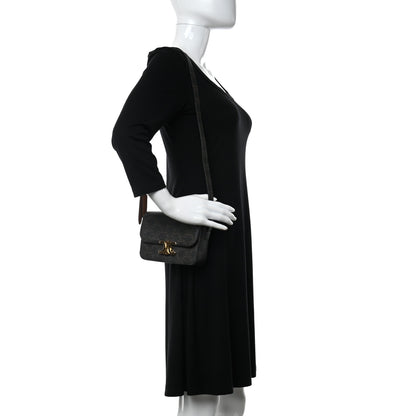 Celine Canvas Calfskin Nano Triomphe Tan 2 of 12