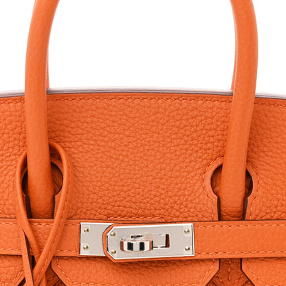 Hermes Togo Birkin 25 Orange 8 of 11