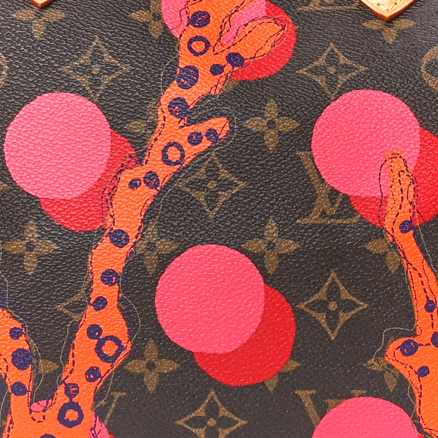 Louis Vuitton Monogram Ramages Speedy 30 Grenade 8 of 10