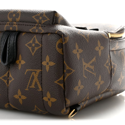 Louis Vuitton Monogram Palm Springs Backpack Mini 10 of 14