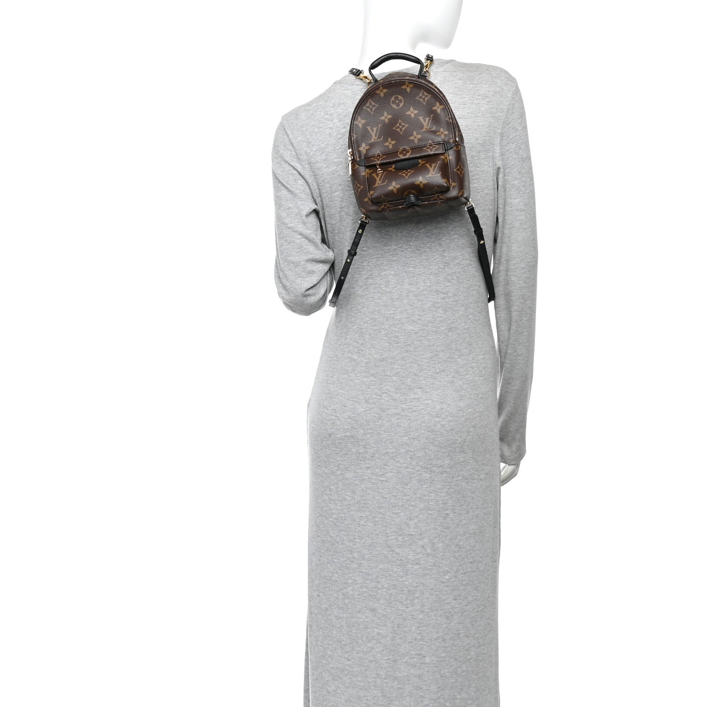 Monogram Palm Springs Backpack Mini