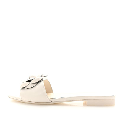 Chanel Lambskin Camellia CC Slides 36.5 White 1 of 9