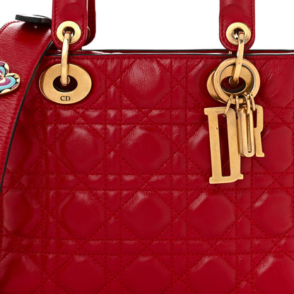 Christian Dior Crinkled Patent Cannage Small Lucky Badges My Lady Dior Red 8 of 11