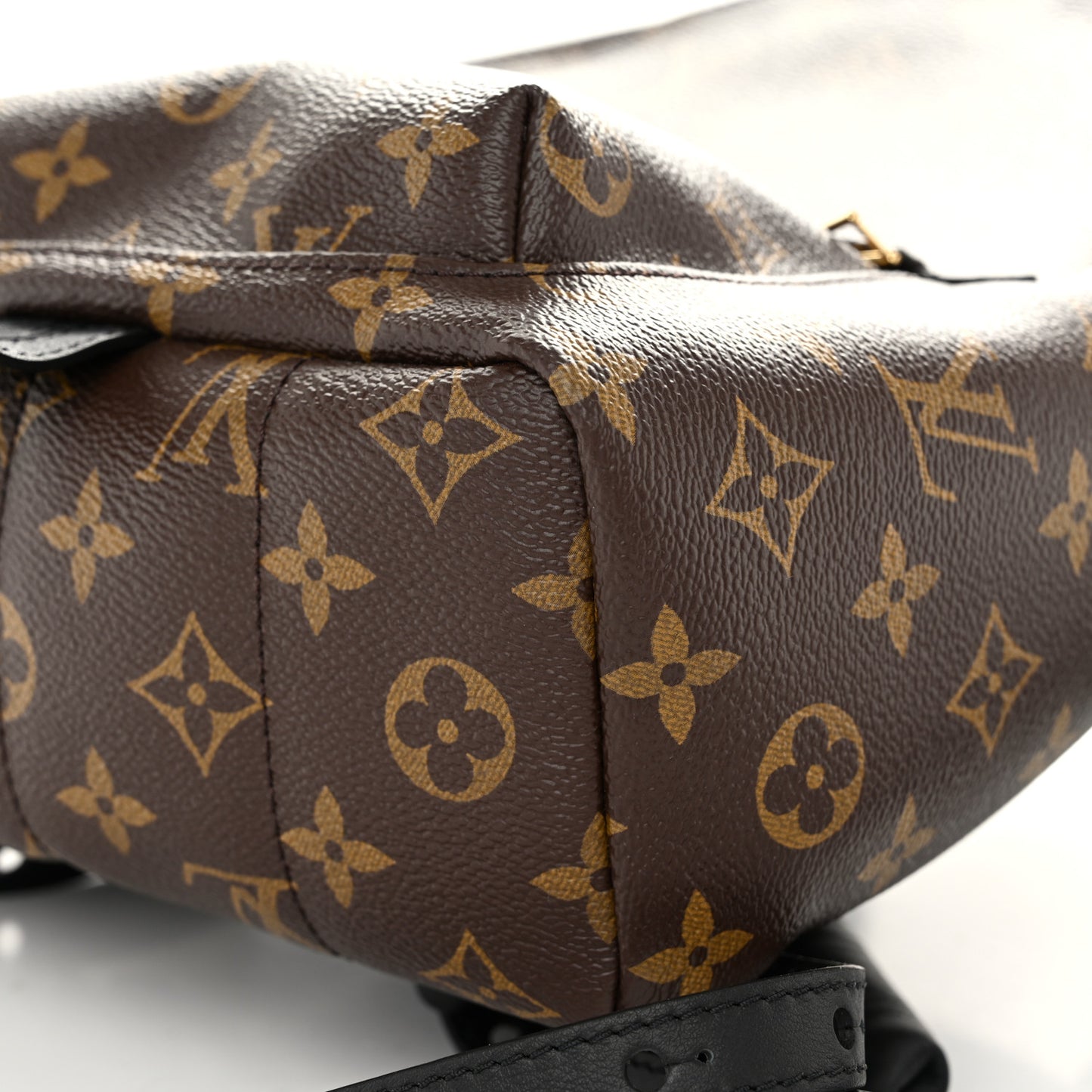 Monogram Palm Springs Backpack PM
