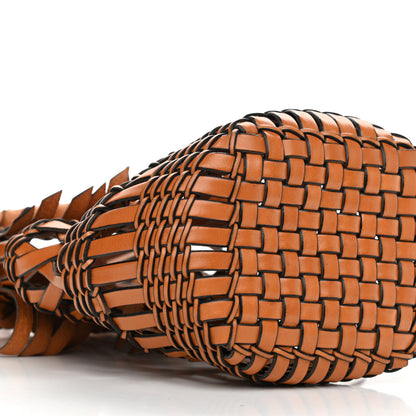 Loewe Calfskin Fringe Woven Small Bucket Bag Tan 8 of 9