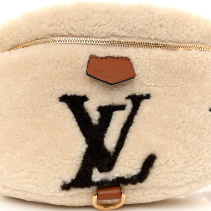 Louis Vuitton Monogram Teddy Bumbag 7 of 9