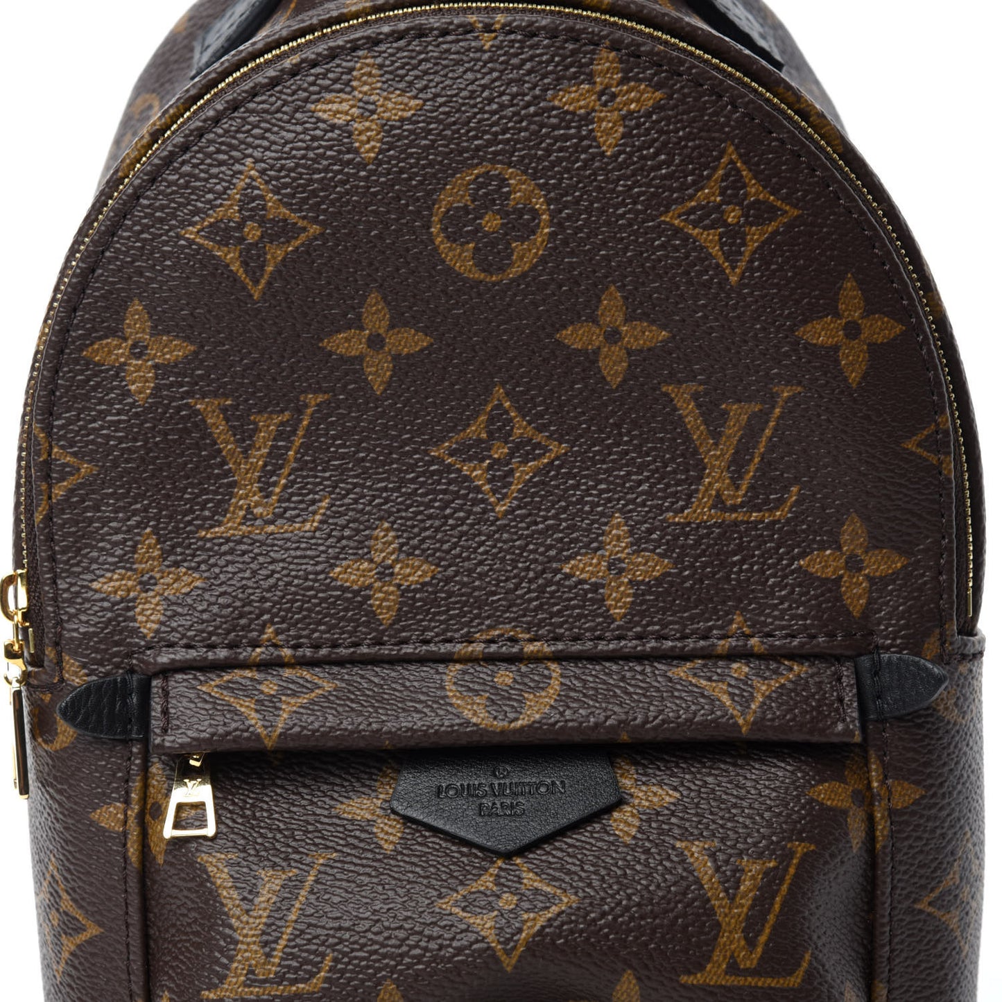 Monogram Palm Springs Backpack Mini