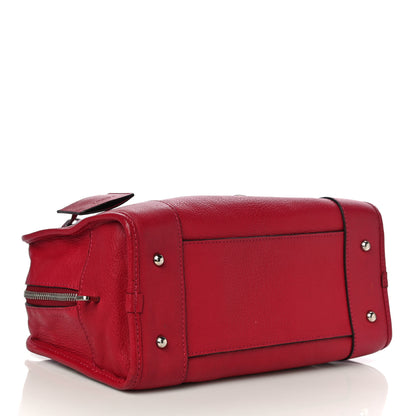 Loewe Goatskin Amazona Fuchsia 4 of 15