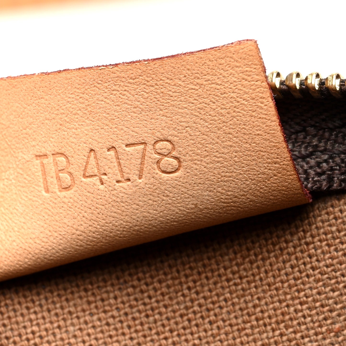 Monogram Nano Speedy