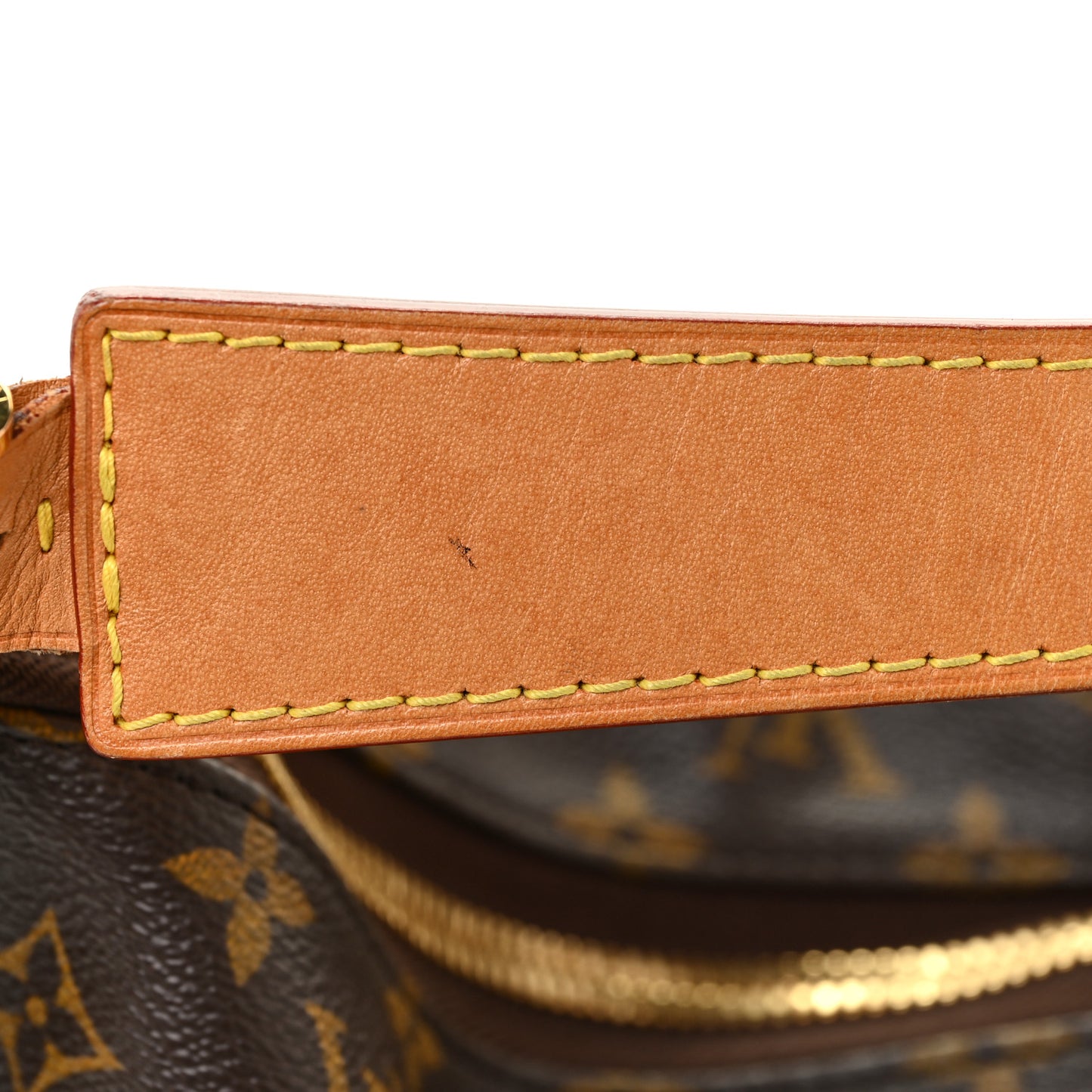 Monogram Sully MM
