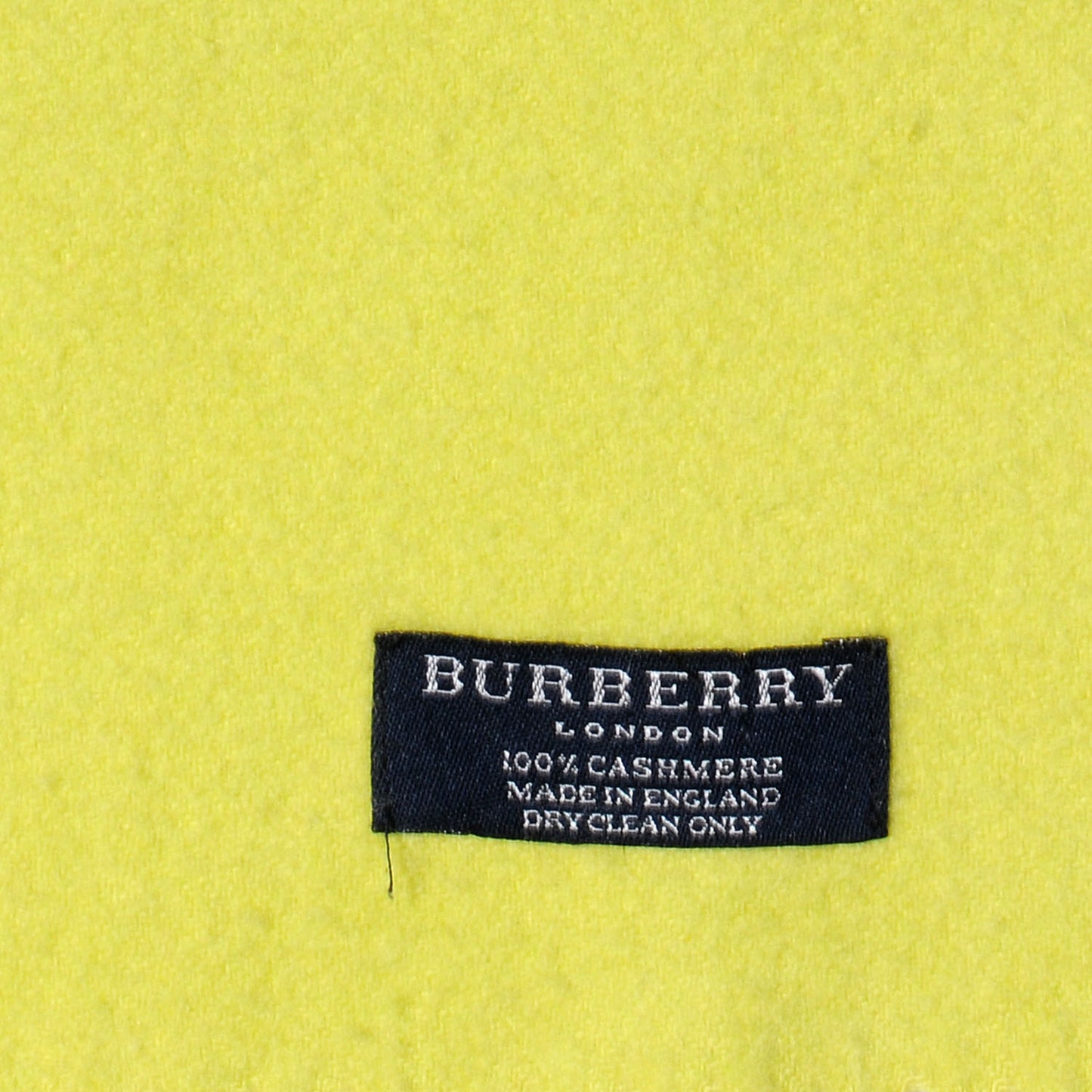 Cashmere Embroidered Fringe Scarf Chartreuse