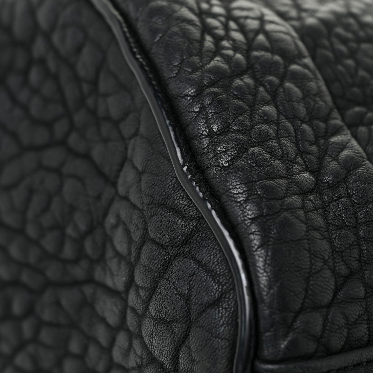Alexander Wang Pebbled Lambskin Rockie Black Iridescent Hardware 11 of 14