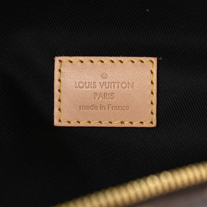 Louis Vuitton Monogram Bumbag 6 of 10