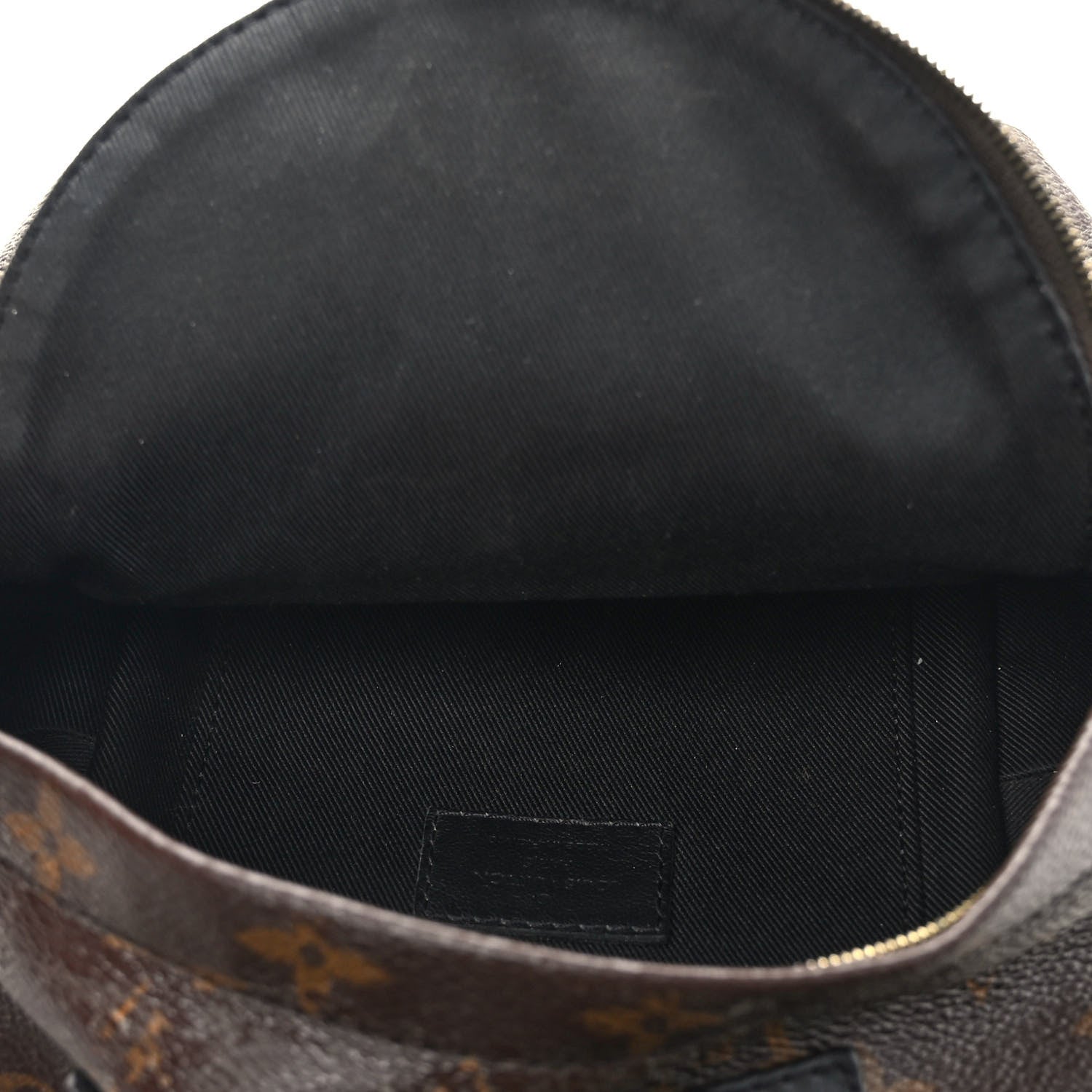Louis Vuitton Monogram Palm Springs Backpack Mini 5 of 12