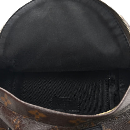 Louis Vuitton Monogram Palm Springs Backpack Mini 5 of 12