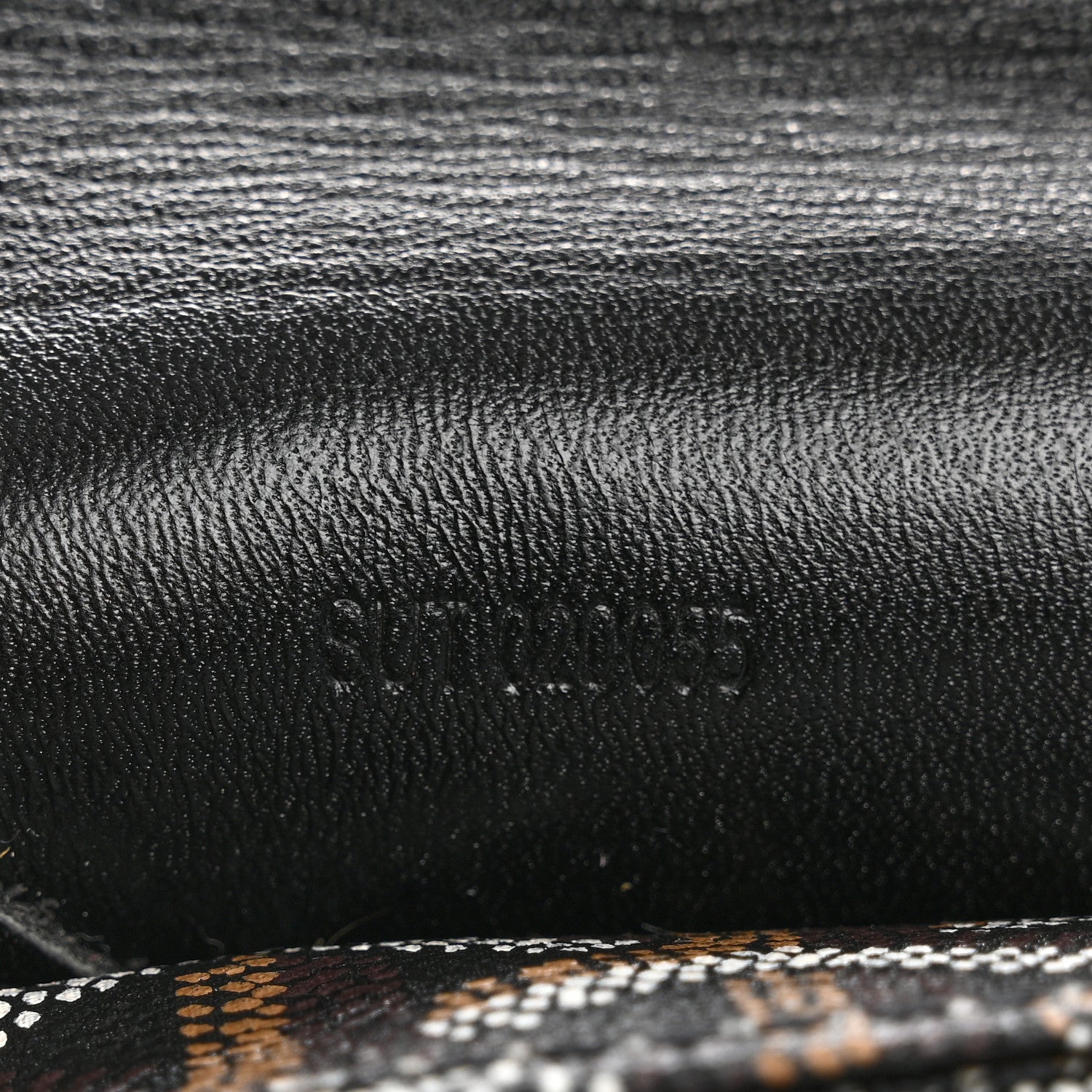 Goyard Goyardine Saint Louis PM Black 8 of 11