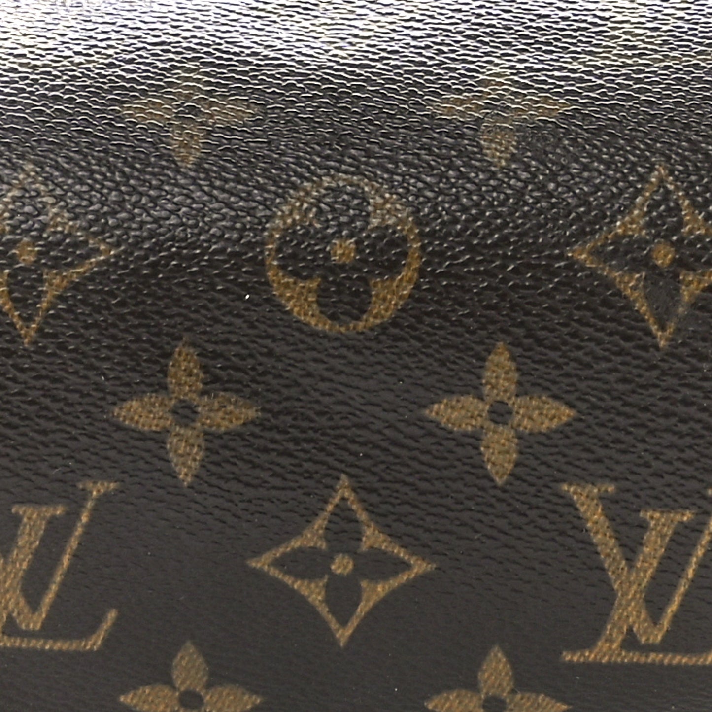Monogram Papillon 26
