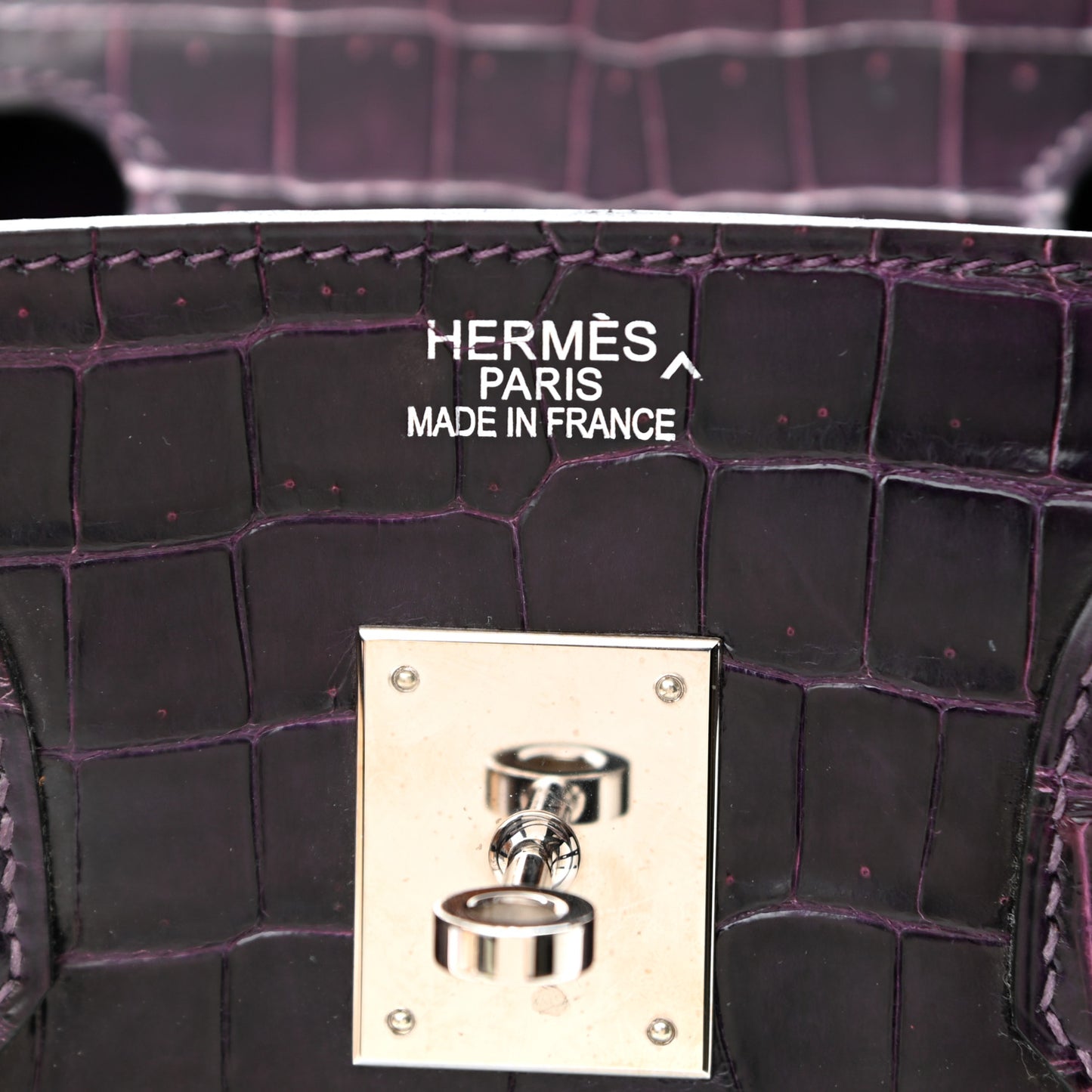 Shiny Porosus Crocodile Birkin 35 Prunoir