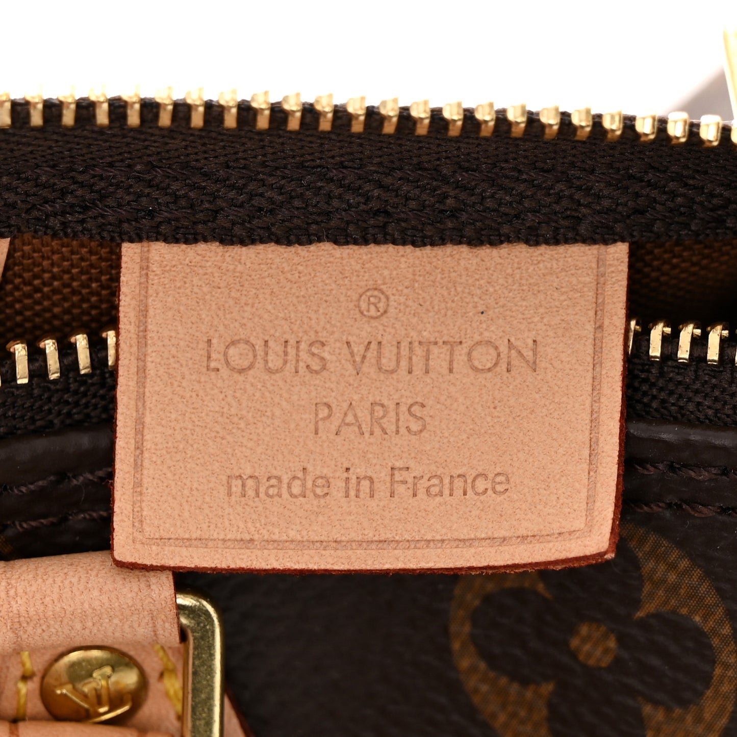 Monogram Nano Speedy