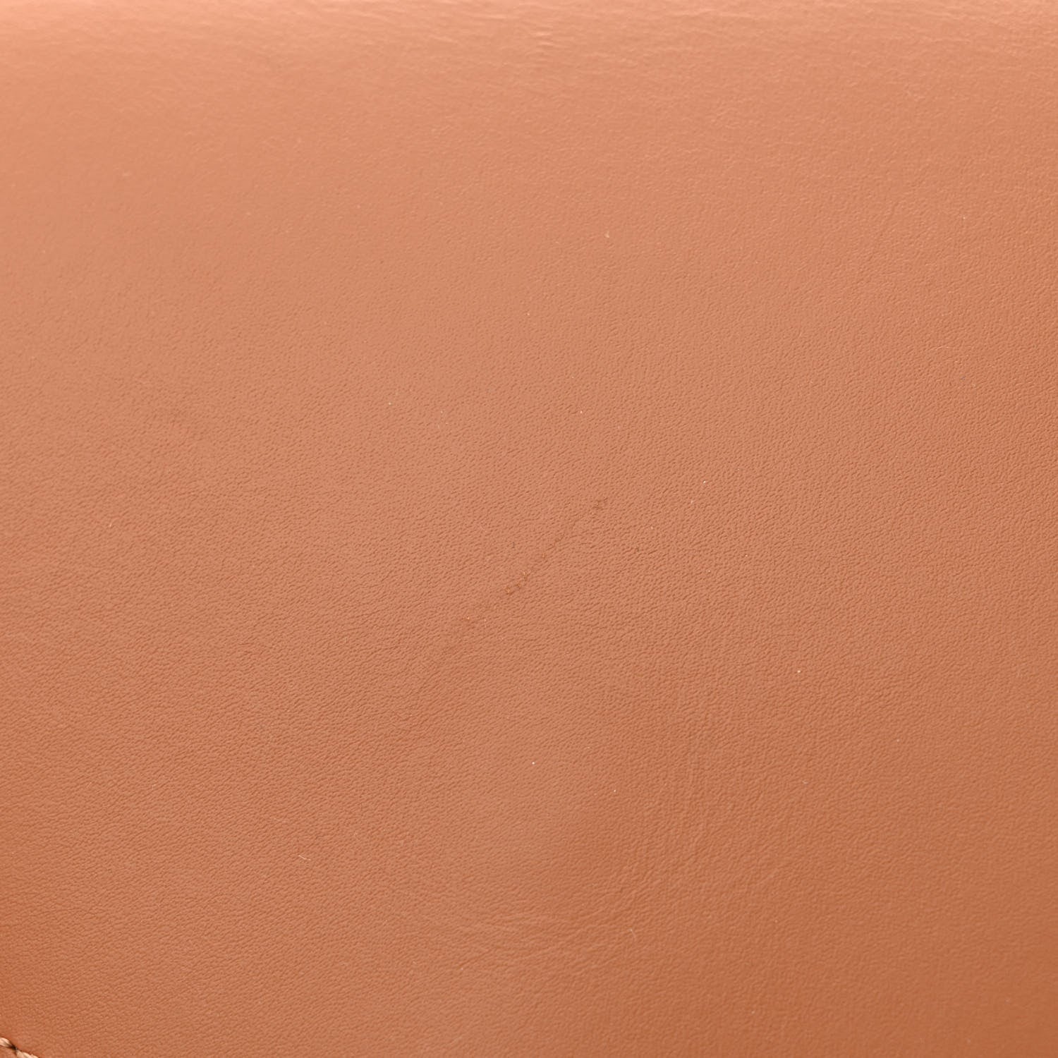 Loewe Calfskin Jacquard Mini Gate Dual Bag Tan 11 of 12