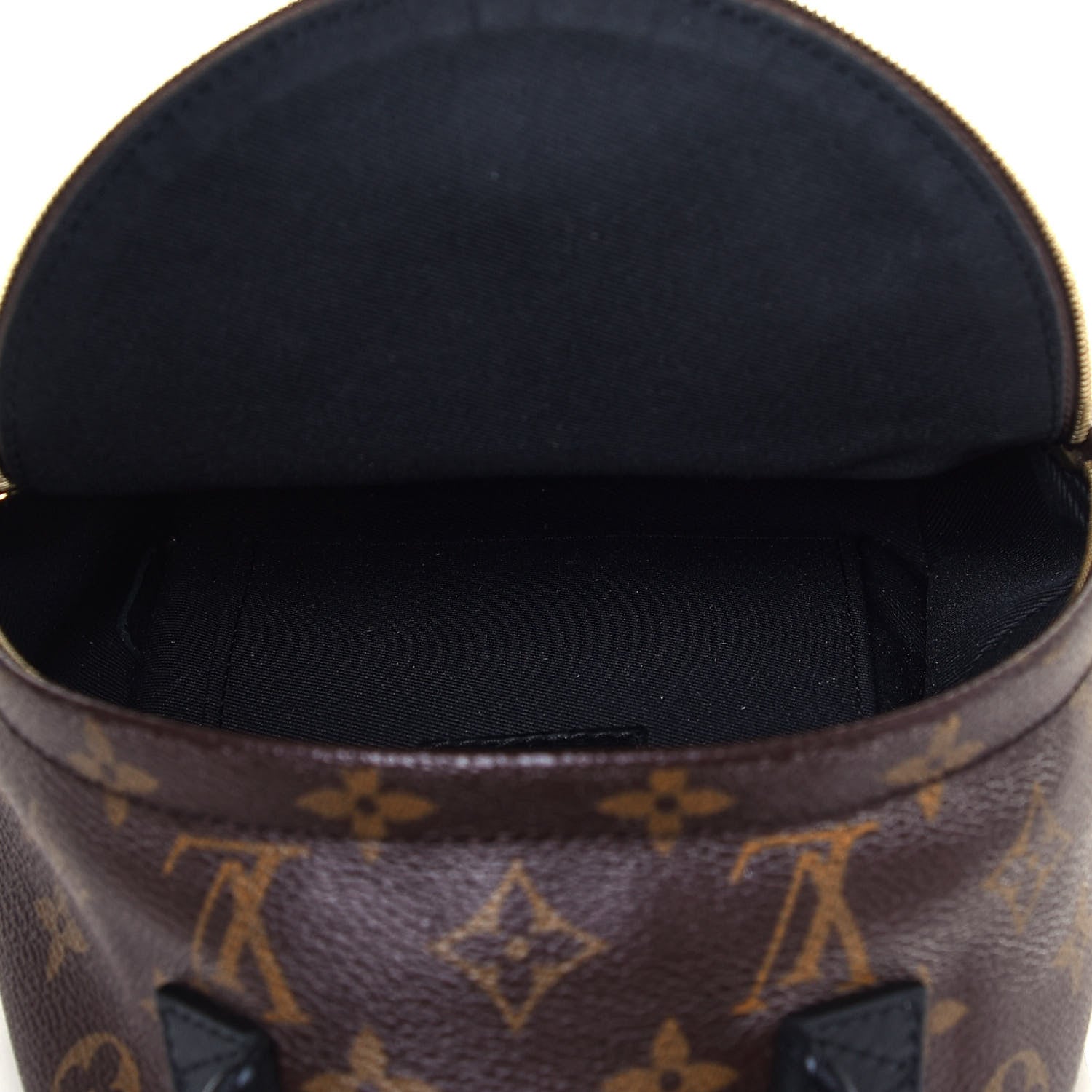 Louis Vuitton Monogram Palm Springs Backpack Mini 5 of 11