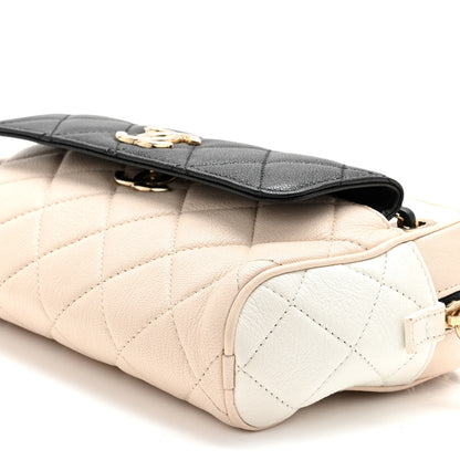 Chanel Goatskin Quilted Tri-Color Small In & Out Camera Case Black White Beige 11 of 12