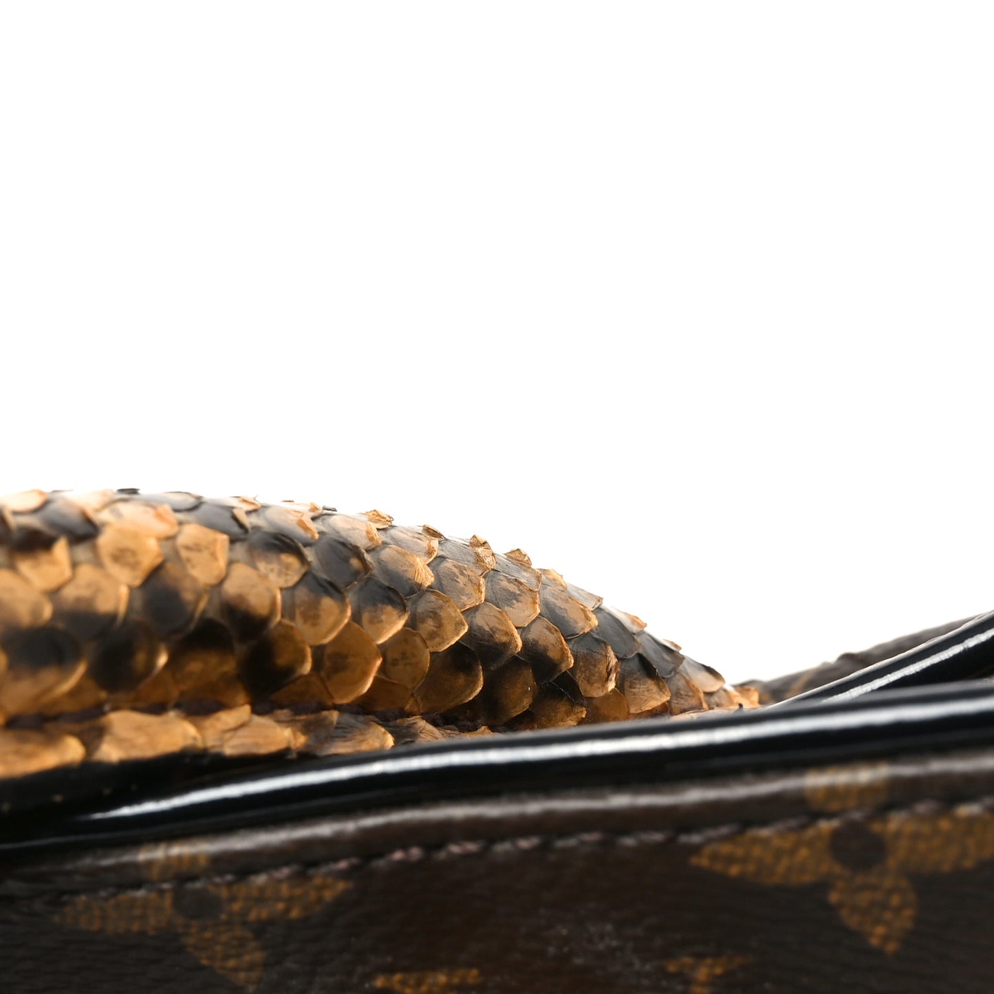 Monogram Etoile Exotique MM