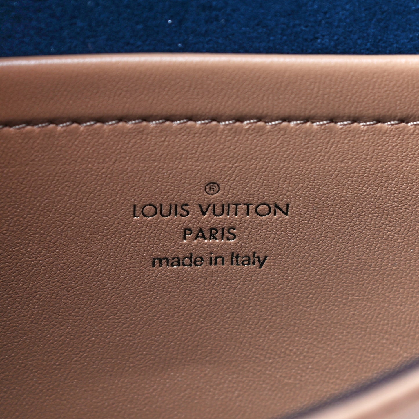 Lambskin Embossed Monogram Pochette Coussin Camel