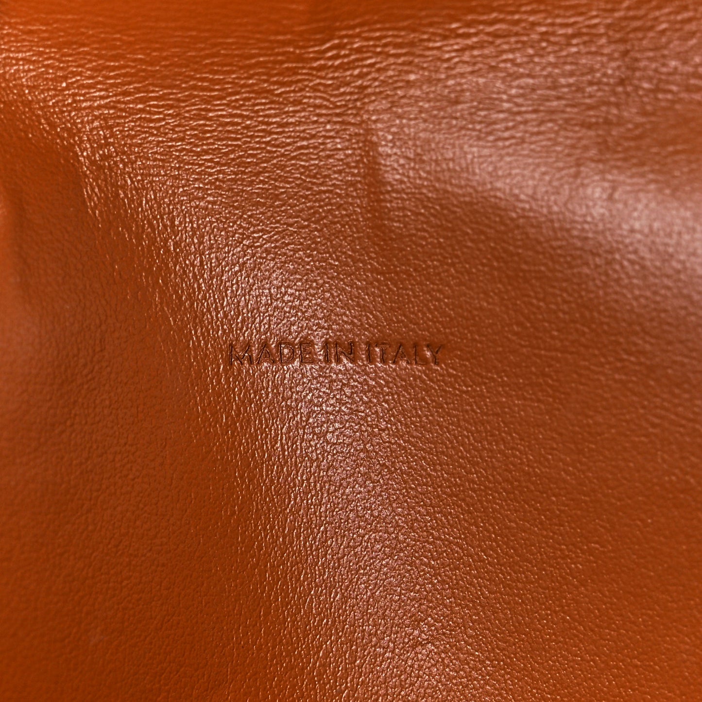 Triomphe Canvas Lambskin Wallet On Strap Tan