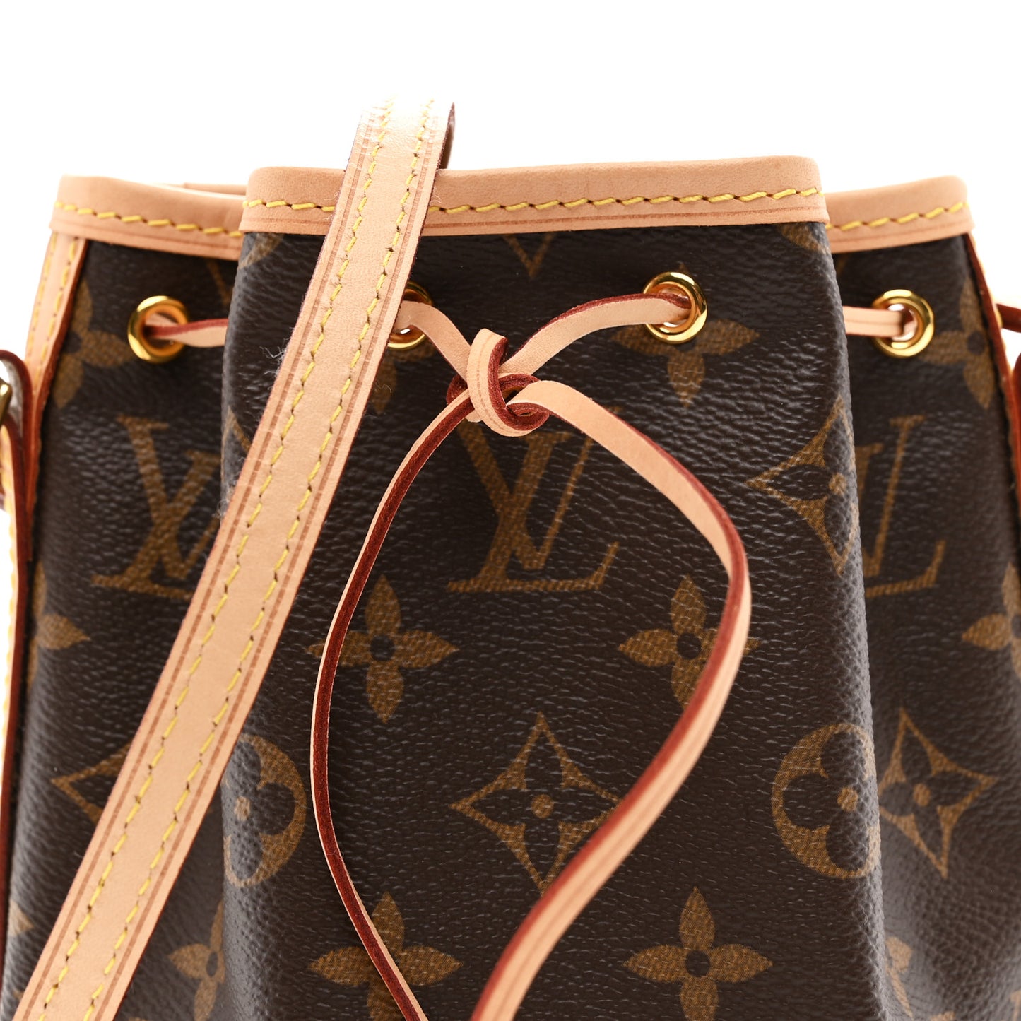 Monogram Nano Noe