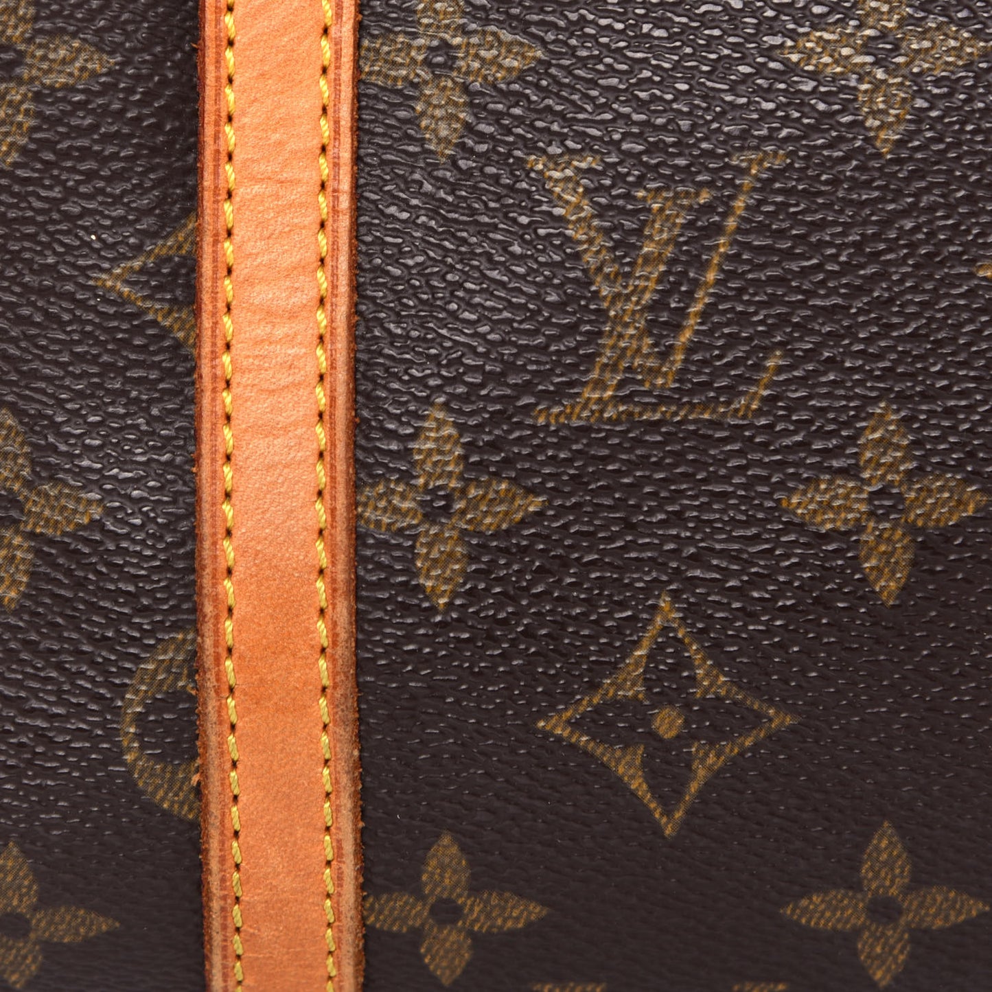 Monogram Papillon 30