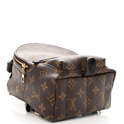 Louis Vuitton Monogram Palm Springs Backpack Mini 4 of 9