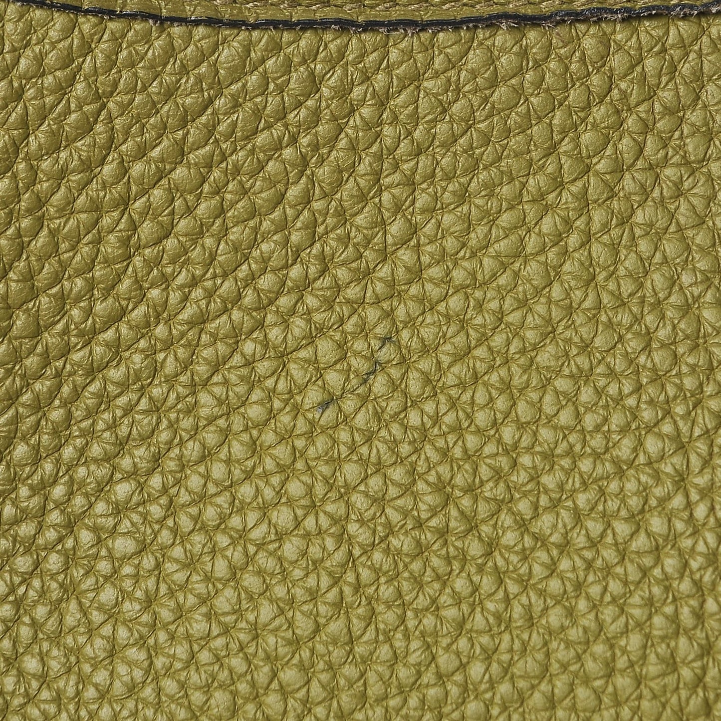 Taurillon Clemence Evelyne II PM Vert Chartreuse