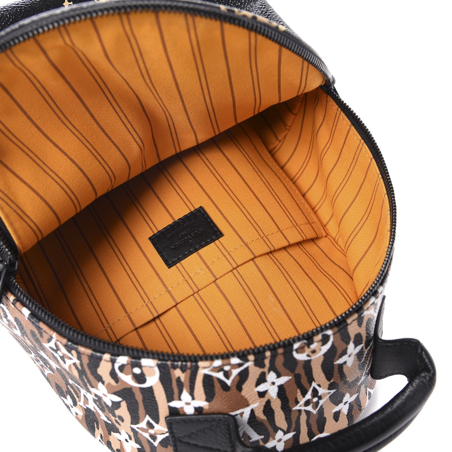 Louis Vuitton Monogram Giant Jungle Palm Springs Backpack PM Black 4 of 9