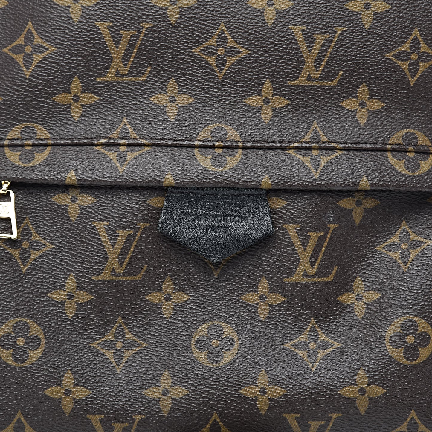 Monogram Palm Springs Backpack MM