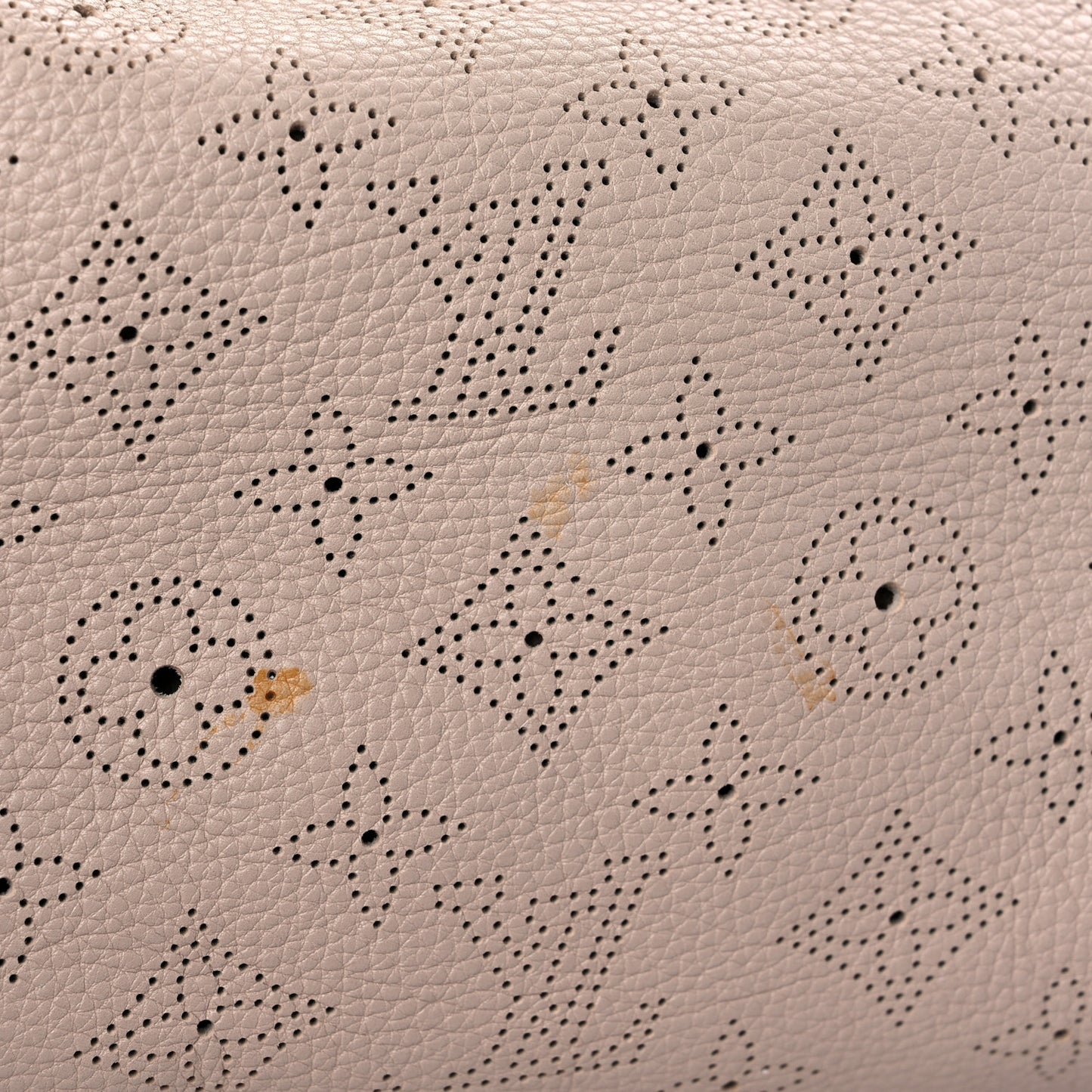 Mahina XL Coquille