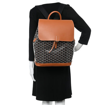 Goyard Goyardine Calfskin Alpin MM Backpack Gold Black 2 of 16