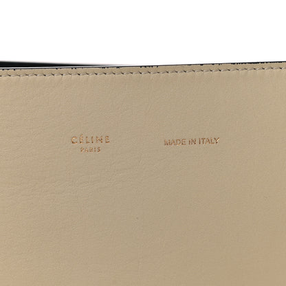 Celine Shiny Smooth Calfskin Small Twisted Cabas Multicolor 7 of 13