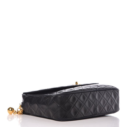 Chanel Lambskin Quilted Flap Camera Case Black 4 of 14